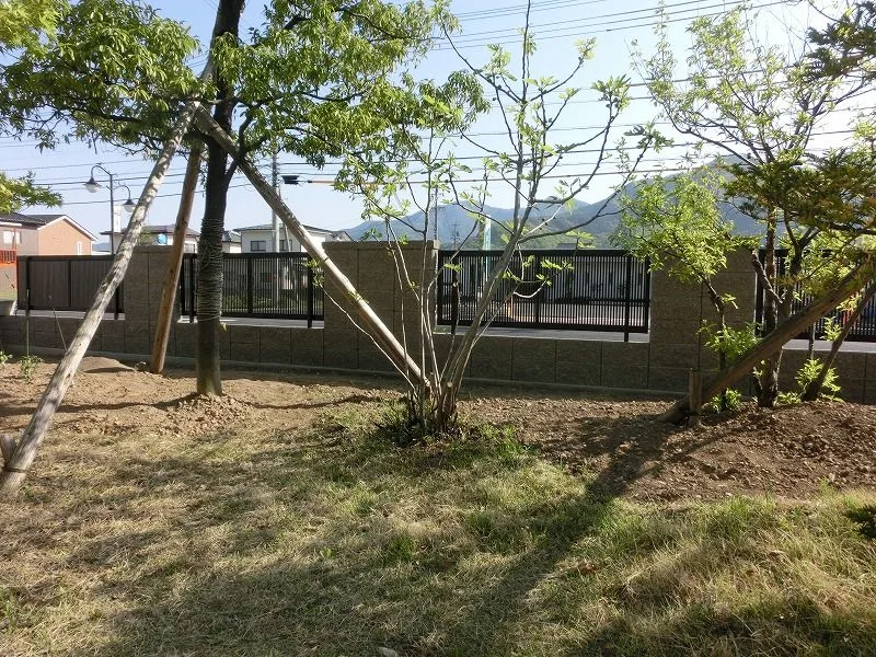 庭側から見た完成フェンス